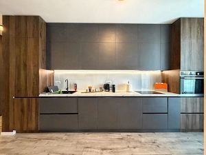Apartament 2 Camere de inchiriat - Nord One Botanic - imagine 10