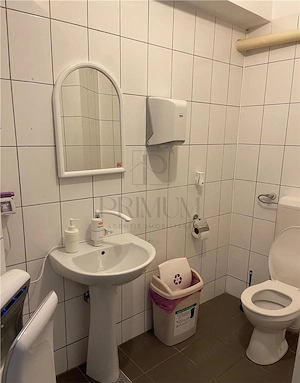 SPATIU PENTRU BIROU SAU CLINICA MEDICALA LA PALATUL FLAVIA, CENTRALA PROPRIE, ZONA EXCELENTA - imagine 9
