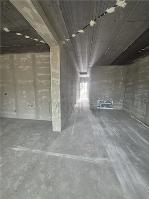 Duplex pe parter - 2 dormitoare - 2 bai - zona in dezvoltare - imagine 5