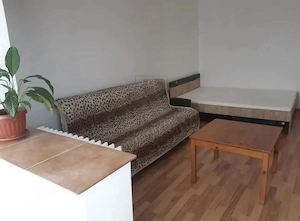 BUZIASULUI - APARTAMENT 1 CAMERA - mobilat, utilat, decomandat - imagine 3
