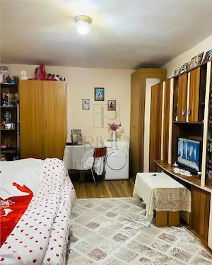 Apartament 1 camera-Centrala-Buziasului-Acoperis - imagine 4