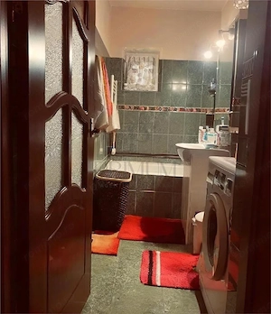 Apartament 1 camera-Centrala-Buziasului-Acoperis - imagine 5