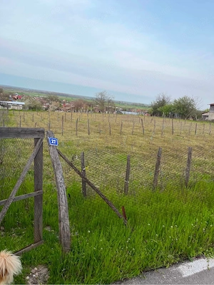 Teren Intravilan 2.000 m2 - imagine 2