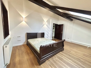 Casa cu 5 camere de inchiriat, curte proprie, Sanmihaiu Roman, Timis - imagine 18