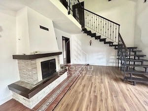 Casa cu 5 camere de inchiriat, curte proprie, Sanmihaiu Roman, Timis - imagine 13