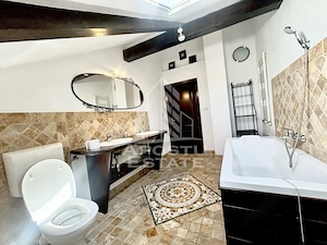 Casa cu 5 camere de inchiriat, curte proprie, Sanmihaiu Roman, Timis - imagine 17