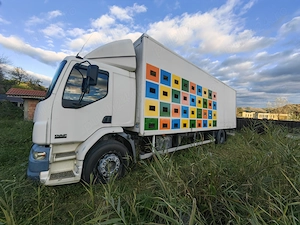 Camion apicol DAF 55250 - imagine 2