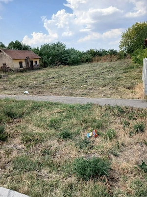 Casa de vanzare - Boureni - imagine 5