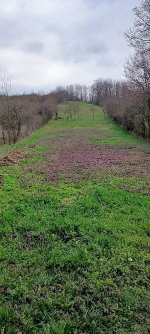 Teren Intravilan - Șpring, jud. Alba