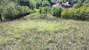 Teren Intravilan - Șpring, jud. Alba - imagine 8