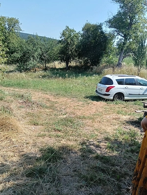 Gospodărie completă 1.1 Ha, Valea Poienii - Dolhasca, Curent Electric, Locuibilă + Utilaje - imagine 2