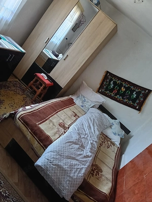 Gospodărie completă 1.1 Ha, Valea Poienii - Dolhasca, Curent Electric, Locuibilă + Utilaje - imagine 7