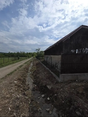 Casă cu teren 5436 mp Tismana (Vânata), utilități, acte la zi - imagine 2