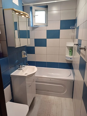 Apartament 2 camere de inchiriat - strada Emil Racovita - imagine 6
