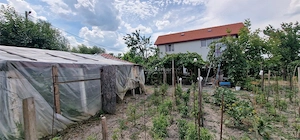 Brebu Casa noua,Parter,Etaj Comision ZERO Cumparator - imagine 18