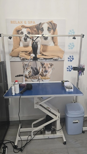 Vanzare   Asociere afacere Frizerie Canina GROOMING Pet