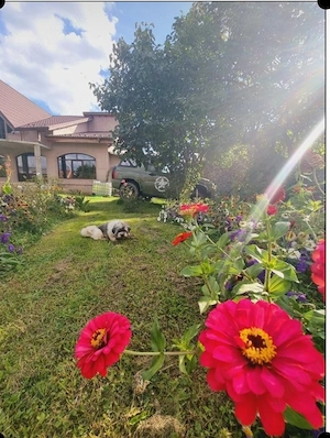 Casă de vanzare in Valenii de Munte - imagine 4