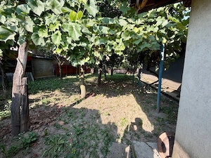 Casa plus teren Filipesti (20 km pana in Bacau ) - imagine 3