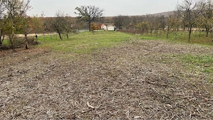 Vând teren Ineu, Dealul Viilor Rând 1, 6360mp cu 3 căsuțe - imagine 5