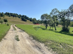 Teren 4,306mp Vama Buzaului langa Cascada Urlatoarea - imagine 3