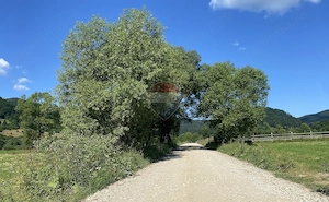 Teren 4,306mp Vama Buzaului langa Cascada Urlatoarea - imagine 2