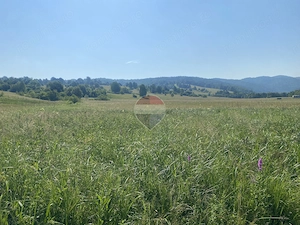 Teren 4,306mp Vama Buzaului langa Cascada Urlatoarea - imagine 8