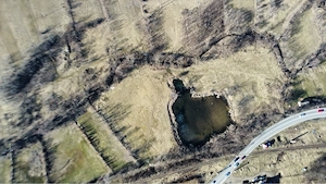 Vând teren 15.000 mp cu iaz 3.200 mp   Văsiești, lângă Moinești - imagine 5