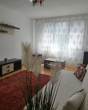 Apartament 2 Camere | Drumul Taberei | Valea Agresului | - imagine 10