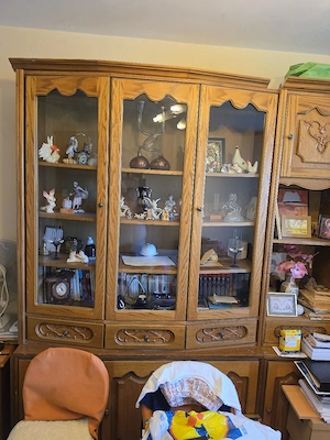 Mobila living retro de super calitate 