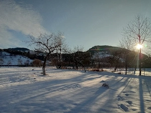 Teren intravilan la munte, in Nereju, Vrancea - imagine 9