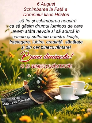 imobiliare terenuri 
