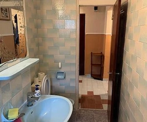 Apartament Vacaresti - imagine 1