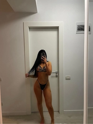 Daria Plaza Pipera