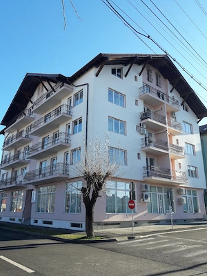 Proprietar ap.vila Cl.Dumbravi parc Sub Arini - imagine 2