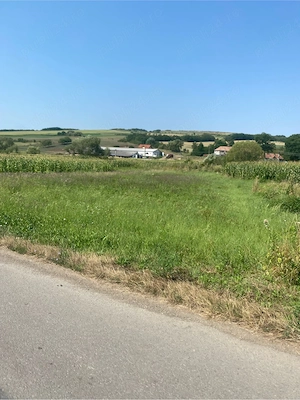 teren poarta comuna faragau  - imagine 4