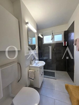 AX1179 Take Ionescu, Parter Inalt, Renovat Integral - imagine 7