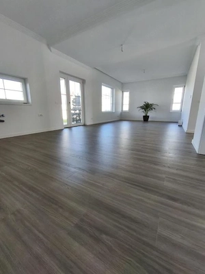 Sanandrei - Casa 4 Camere  - Plan Parter -Teren 668 mp - imagine 3