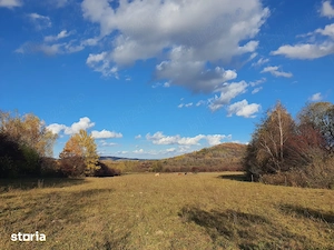 Teren 9.000 mp Bran   Tohănița | Intravilan | Deschidere 60 m Vedere Panoramica - imagine 3