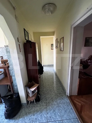 Apartament 3 camere Ludus - imagine 11