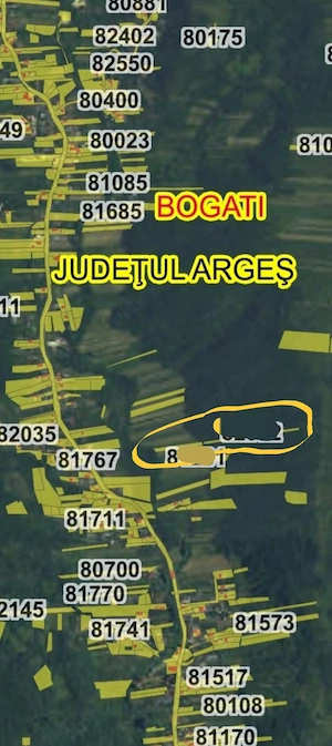 Vând teren extravilan 2.400 mp + pădure 3.000 mp - Bogați, jud Arges