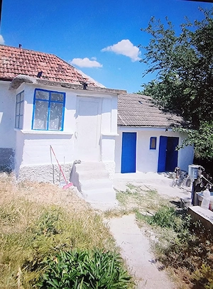 Vand casa la tara