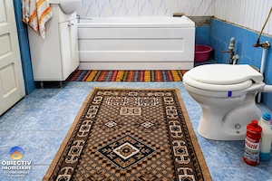 CASǍ cu teren 3477 mp COSTIŞA - imagine 12