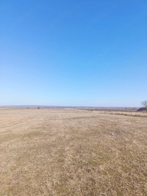 Teren arabil 1 ha Cilibiu, Golaiesti 