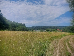 Teren intravila  3000mp în com Drăganu Argeș de vanzare 10  | mp Tel  