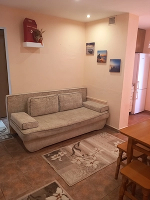 Proprietar, zona Aradului, 2 camere decomandat, 51 mp utili plus 7 mp balcon, centrala proprie, usca - imagine 5