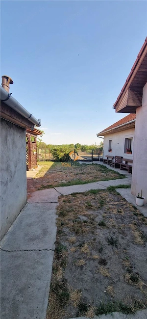Doua Case In Curte  Cenei La 28 Km De Timisoara - imagine 7