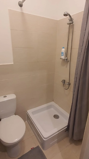 Apartament in cladire istorica, Centru-Colegiul Bănățean  - imagine 9