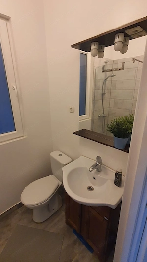 Apartament in cladire istorica, Centru-Colegiul Bănățean  - imagine 13