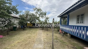 Casa Traditionala in Lunca Corbului - Arges - imagine 3