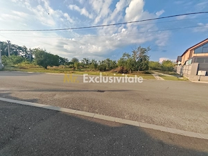 Teren intravilan 1.600 mp Mioveni – Zona Pruni - imagine 3